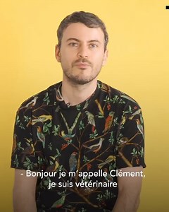 "Il suffit d'un Doliprane qui traine pour tuer un chat". Un vétérinaire vous explique tout ce que vous ne savez peut-être pas sur les chats ! | Demotivateur