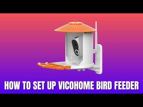 How to Set Up VicoHome Bird Feeder 2026