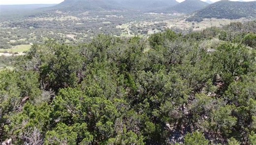 Can't beat views like these..... #NoconaRanch #Texas #TexasHillCountry #ScenicViews #TexasHuntingRanch #TexasRanch #Hunting | Nocona Ranch