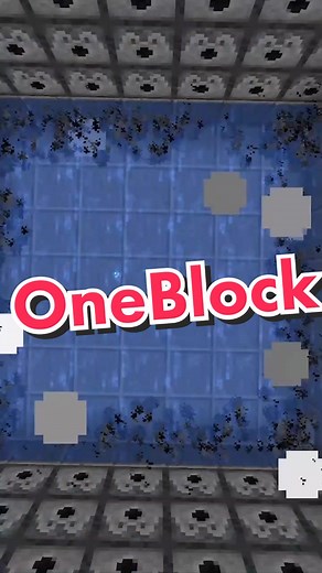 How to Play One Block Challenge in Minecraft