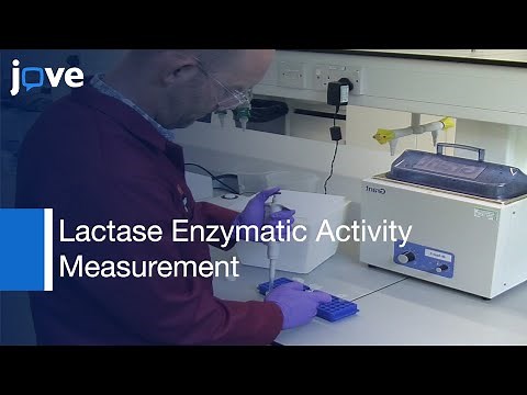 Lactase Enzymatic Activity Measurement