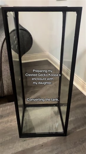 Creating a Perfect Crested Gecko Enclosure