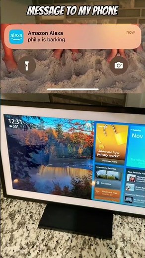 Alexa Dog Barking Alert Routine. #shorts