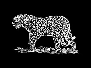 animal growling sounnd effect.