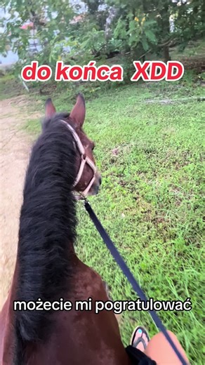 18 #fail #horse #dc #fyp #foryou #tree #drzewo #drzewomniepobiło #18