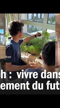 Low tech : vivre dans l'appartement du futur