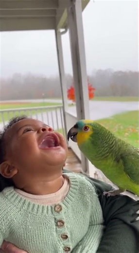 Parrot Makes Funny Noises, Baby Can’t Stop Laughing