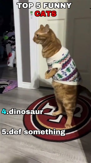 FUNNY CATS #foryou #funny #animallife #cat #animals #funnyshorts #funnyvideo #pets #viral