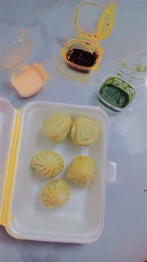 🐈‍🐕‍🦺🦮🐕🐶