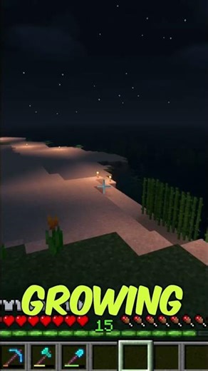 My Minecraft Tree Farm & Animal Farm Setup! #shorts