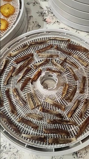 КАК ПРАВИЛЬНО НАРЕЗАТЬ И СУШИТЬ ФРУКТЫ / Сушилка EZIDRI Ultra FD1000 Digital