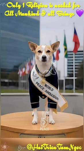 🕉️ 💜ONE RELIGION for All Mankind & All Beings– Walk for Peace | Monks & Aloka the Dog | Song of Love, Kindness, Peace, Compassion & Unity | series 2 |​⁠ part 1|@H​⁠ 🕉️ This song was created to honor the Walk for Peace—a living meditation led by group of monks and joined by Aloka, a once-stray dog who chose compassion over fear. Across religions, cultures, and borders, there is one truth: 🕉️ One Religion for All Mankind & All Beings—Love, Compassion, Kindness, Peace & Unity💜🙏 This is not a 