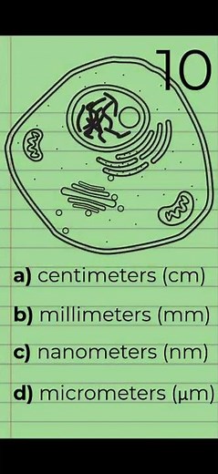 IB Biology 1.1 Review Part 1