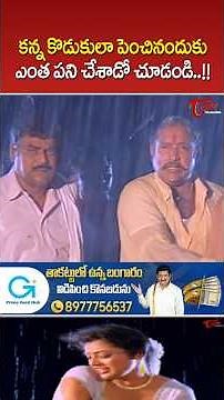 Chiranjeevi & Meena Ultimate Scene #Chiranjeevi #Meena #SnehamKosam #EmotionalScene #ytshorts #short