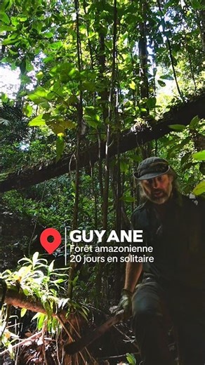 LA VEGANATOR : l'armée secrète des Véganes contre les Omnivores.