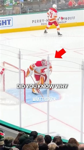 Why Do NHL Goalies Scratch the Crease?!