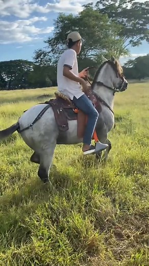 "El Don Tuvo 🚀" | CR EQUINOS