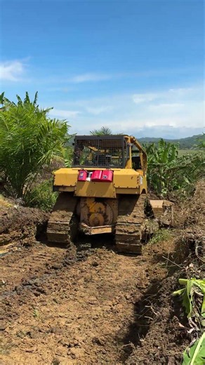 D6R XL Bulldozer and Plantation Infrastructure Planning
