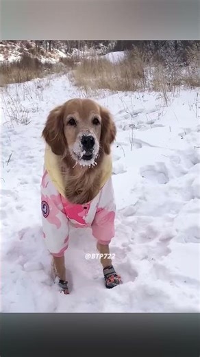 Life in Yakutsk: Resilience at –60°C in the World’s Coldest City