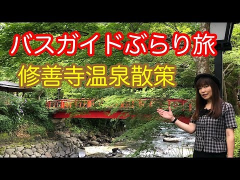 Bus Guide Travel Vol.12 Shuzenji