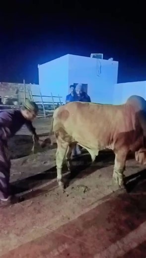 Kabeer khan A. Kabeer (@kabeer.khan.a..ka)’s videos with original sound - Azhar Iqbal