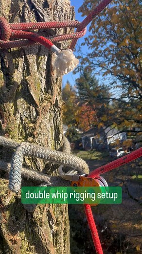 Setup a double whip rigging system to lower this section of log. The...