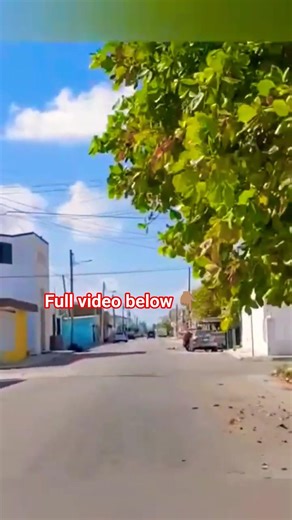 Living in Progreso Yucatán México #travel #beach #vacation