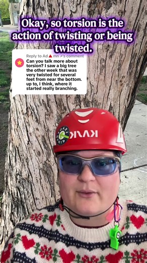 Replying to @Ad🔺mn ☭ Torsion is the action of twisting or being twisted. #arborist #trees