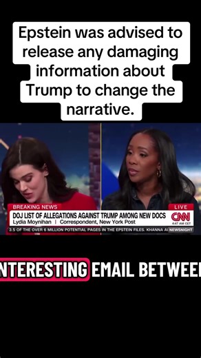 Jeffrey Epstein was advised in Trump’s first term: If you have anything damning about Donald Trump release it and change the narrative about you. Pretty sure if Epstein had anything that would have made Trump look bad, he would’ve released it… and so would Biden’s DOJ.