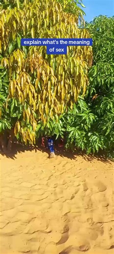 Boy* What What 🤞🤞🔥 (@da.bkay)’s videos with original sound - Boy* What What 🤞🤞🔥