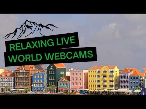 Peaceful Ambient Music LIVE | Relaxing Nature Videos for Sleep, Study, Focus & Calm