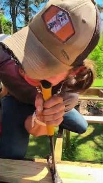 little tip how to climb a tree fast #woodconstruction #woodcutting #framing #nbconstruction #viral