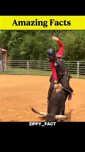 How to Stay Balanced on a Wild Bull 😳 #shorts