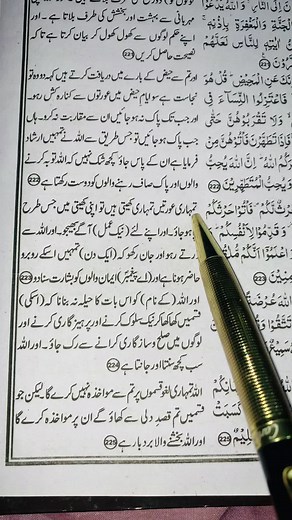 Exploring Islamic Teachings Through Quranic Insights