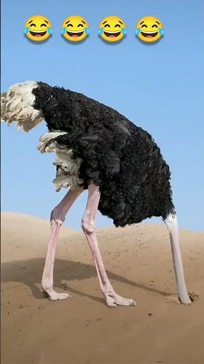 Crazy Epic Fails Compilation! 😂 Don't Try Not To Laugh! #shorts #epicfails #memes #fails #laugh