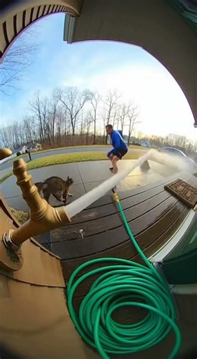 Funniest Home Security Fails 😂#FunnyFails #DoorbellCam #catlogic #funny #funnyanimals #funnypets