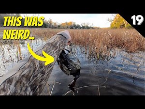 Duck Hunting On A Tiny Creek | Can We Pull Off The Comeback?