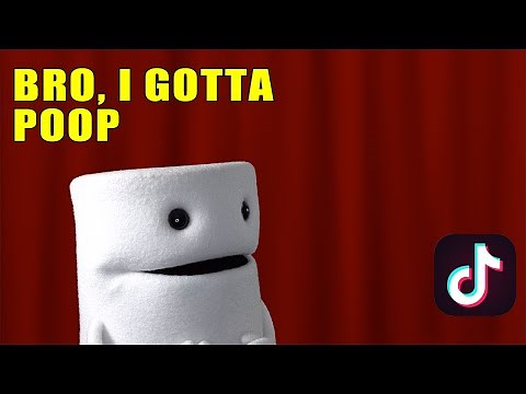 Bro, I gotta poop Dramatic Reading of a TikTok Meme Toiley T. Paper