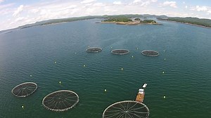 5.2K views · 24 comments | Pentair AES is dedicated to excellence in aquaculture technology, system design, service, and more. Are you ready to start your aquaculture project? | Pentair Aquatic Eco-Systems | Facebook
