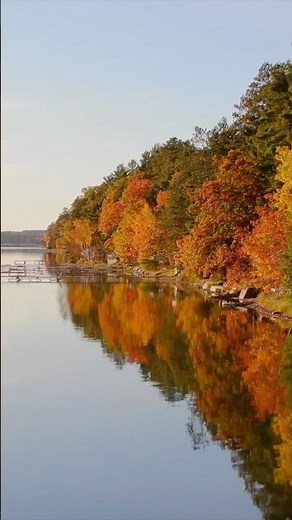 The Best of Higgins Lake Fall Foliage