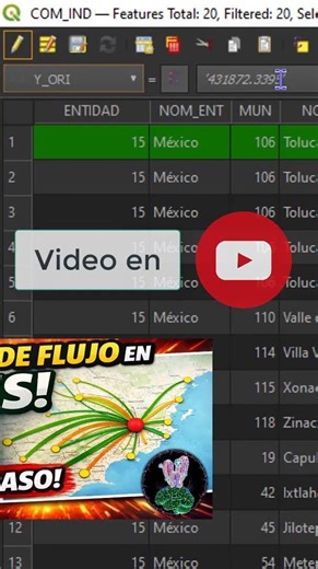 Copy data into a whole column in #qgis #qgis3 #fypシ #qgistutorials #qgistutorial #parati