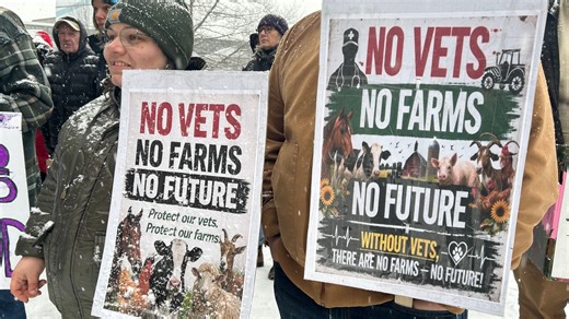 CTV National News: N.B. Farmers rally over province's decision to cut public veterinary services
