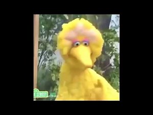 NEW! Sausage Song Compilation