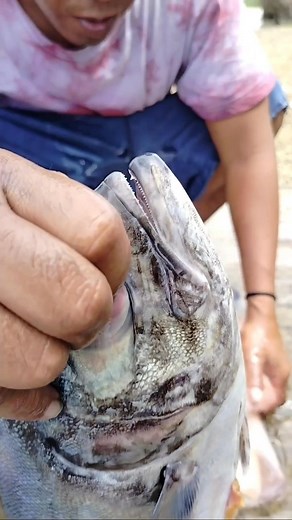 Wow 😱 #VALTV | VAL TV