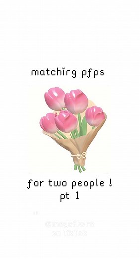 Matching Pfps for Couples - Cute Cat PFP Ideas