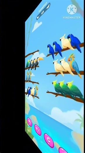 birds game 😁😆😂 video song