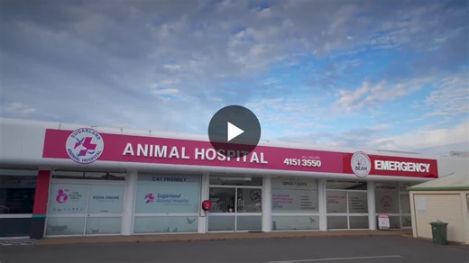 Do You Ever Wonder If Your Ideal Vet Job Actually Exists? Do you dream of a veterinary role where you have: Time to think, explain, and practise medicine properly Resources to deliver gold-standard… | Sugarland Animal Hospital