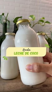 Alimentos 100% naturales 🌱 on Instagram: "Leche de coco 🥥 💪🏽 fácil, rico y muy saluable! Apunta la receta: - 180 gr coco rallado sin azúcar - 500 ml agua bien caliente - 500 ml agua al tiempo Remoja el coco en el agua bien caliente hasta que enfríe, licua con 500ml de agua, pasa por el filtro y listo! Te dura entre 3 y 4 días bien refrigerada! Úsala en todo al igual que usarías la leche de vaca 🐮 El filtro, el coco y todo lo que necesitas pra empezar una vida saludable lo encuentras en www.