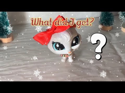 LPS package unboxing episode 14