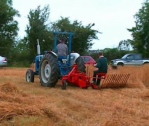 Before the binder came onto the scene the reapers only cut the corn so the sheaves of corn had to be tied before being put into stooks which would later have been built into huts and stacks.... | Videos of Irish Farming Life